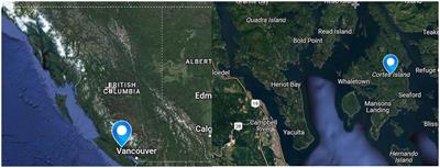 Promoting community health and climate justice co-benefits: insights from a rural and remote island climate planning process